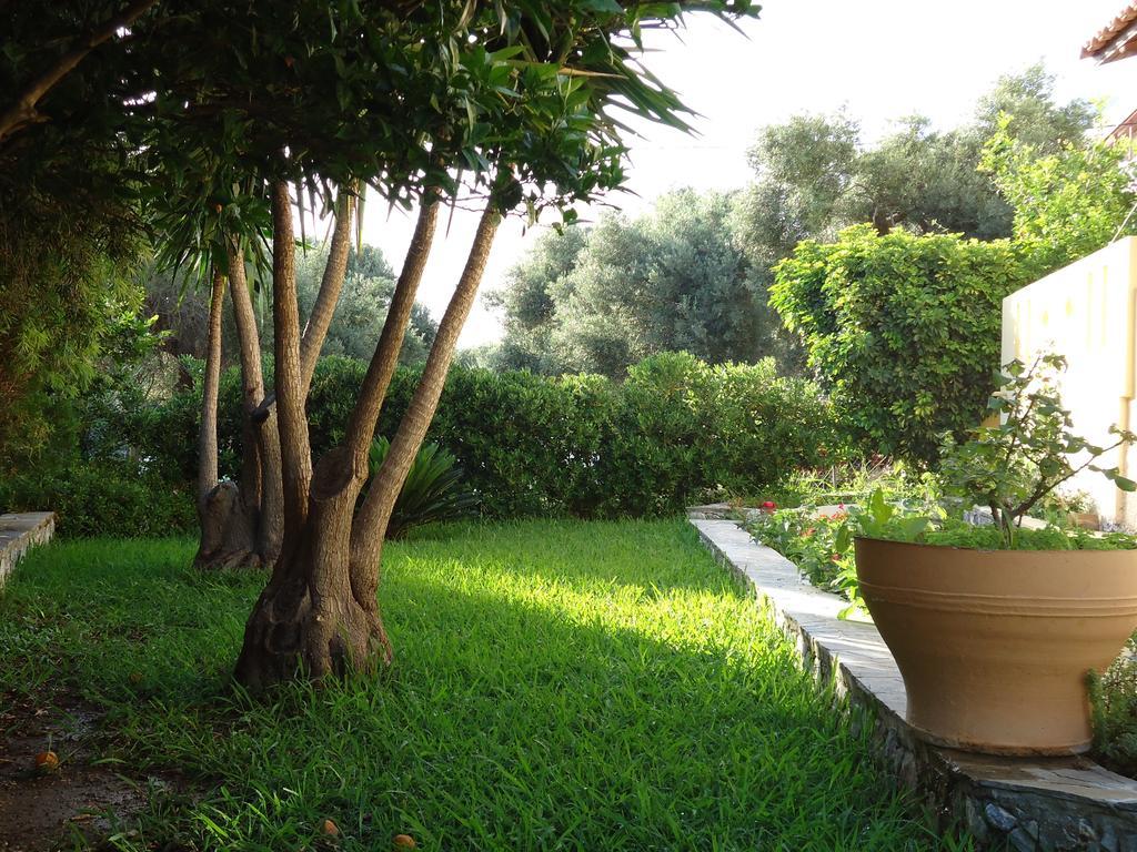 Anemoni Studios بلاكاس المظهر الخارجي الصورة