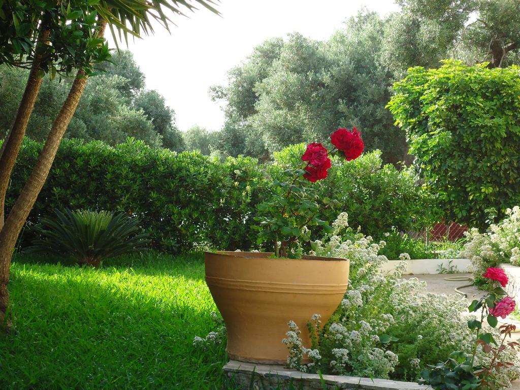 Anemoni Studios بلاكاس الغرفة الصورة